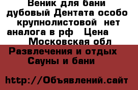 Веник для бани дубовый Дентата особо  крупнолистовой  нет аналога в рф › Цена ­ 100 - Московская обл. Развлечения и отдых » Сауны и бани   